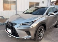 2019 Lexus NX300H FSport