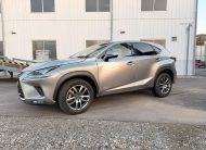 2019 Lexus NX300H FSport