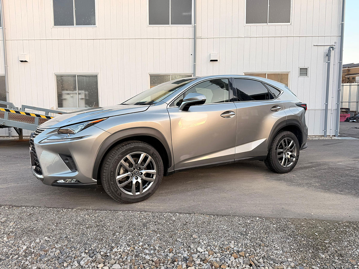 2019 Lexus NX300H FSport