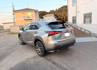 2019 Lexus NX300H FSport