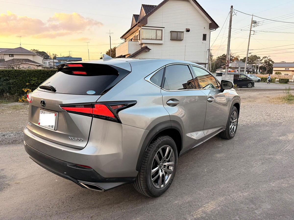 2019 Lexus NX300H FSport