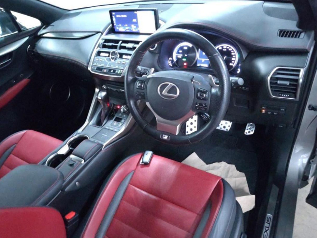 2019 Lexus NX300H FSport